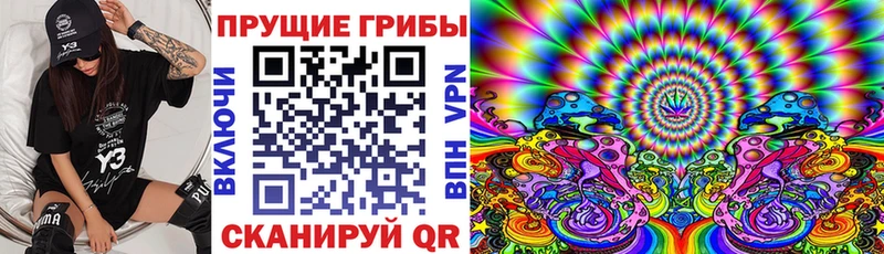 Галлюциногенные грибы Psilocybe Апатиты